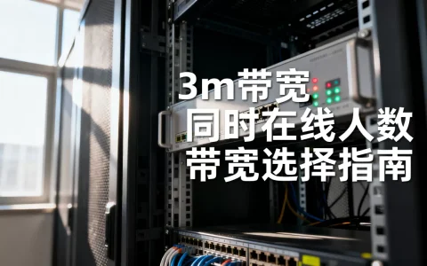 3m带宽服务器能同时在线多少人，服务器带宽怎么选？