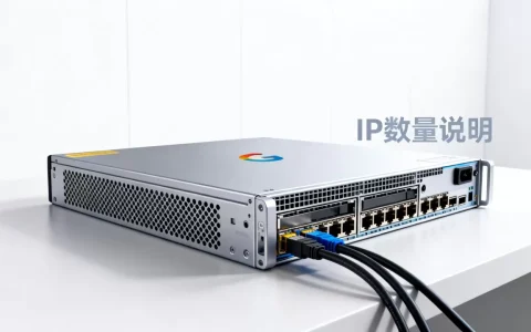 谷歌云服务器一台有多少个IP
