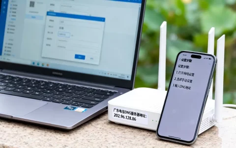 你知道广东电信DNS服务器地址是多少，怎么设置网速最快？
