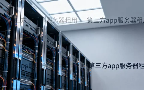 第三方app服务器租用多少钱