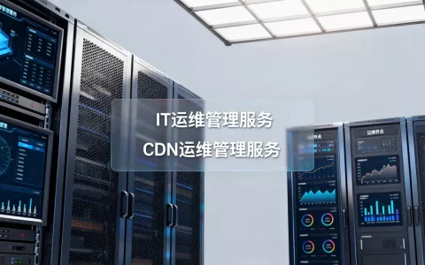 IT运维管理服务与CDN运维管理服务怎么选？，哪家好