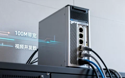 服务器 100m 视频 最多多少人