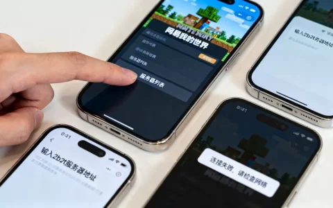 手机怎么进网易2b2t服务器，进不去怎么办