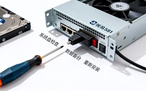 视易s81服务器系统盘怎么治，解决方法是什么？