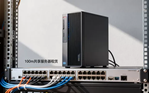 租100m共享服务器多少钱