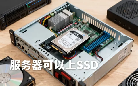 服务器可以上ssd
