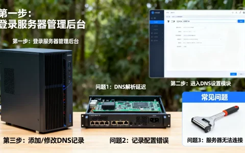 服务器dns设置的正确步骤是什么？，常见问题有哪些？