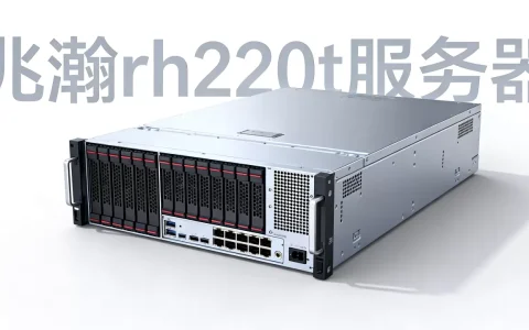 兆瀚rh220t服务器多少钱