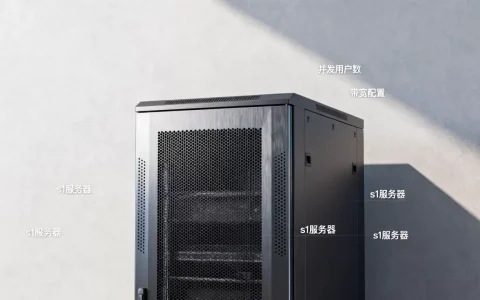 s1服务器一般多少人
