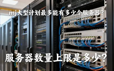 mj大型计划最多能有多少个服务器？，服务器数量上限是多少？