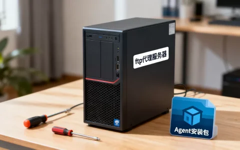 ftp 代理服务器安装_为代理服务器安装Agent