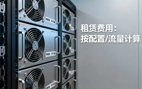 app租赁服务器一年需要多少钱，怎么收费