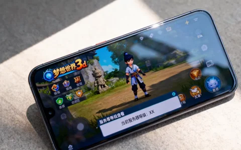 梦想世界3d手游怎么看服务器等级