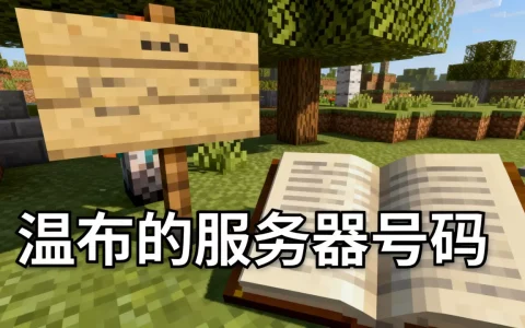 我的世界温布的服务器号码是多少