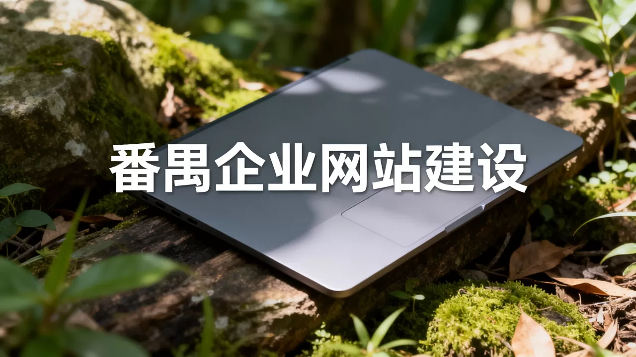 番禺企业网站建设 番禺企业网站建设