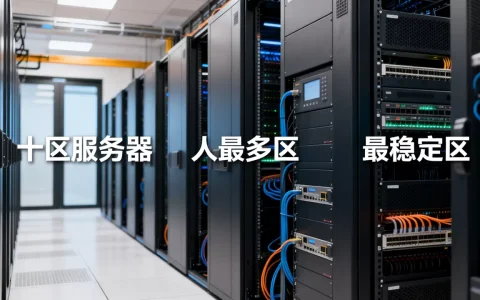 十区服务器有哪些？,哪个区人最多最稳定