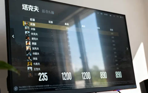 塔克夫哪些服务器少人