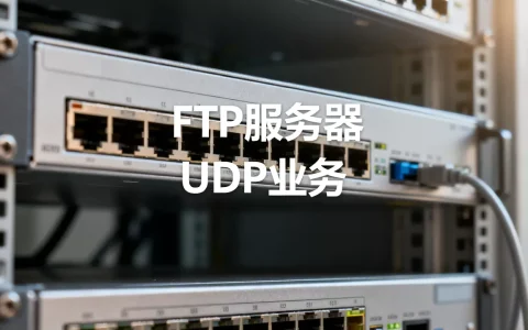 ftp服务器 udp业务