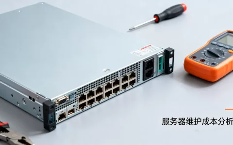 一款软件服务器维护需要多少钱，一年维护费用多少钱？
