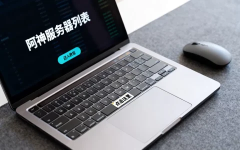 阿神究竟开了哪些服务器，阿神服务器怎么进？