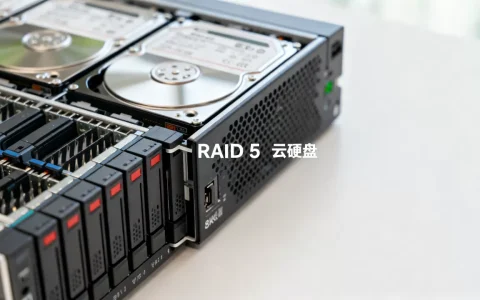 服务器的磁盘阵列配置_使用云硬盘组建RAID磁盘阵列概述