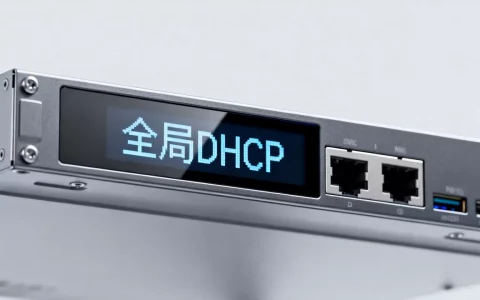 服务器DHCP配置视频_全局DHCP