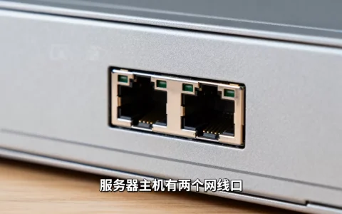 服务器主机有两个网线口