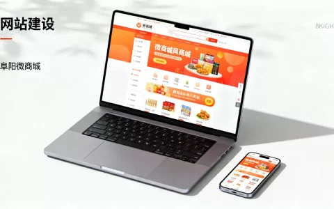 阜阳微商城网站建设哪家更靠谱，需要多少钱？
