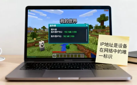 我的世界服务器怎么查IP地址？，IP地址是什么？