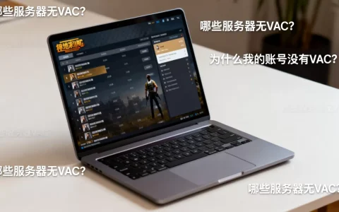 绝地求生哪些服务器无vac？,为什么我的账号没有vac？