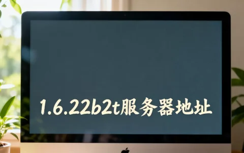 1.6.22b2t的服务器地址是多少