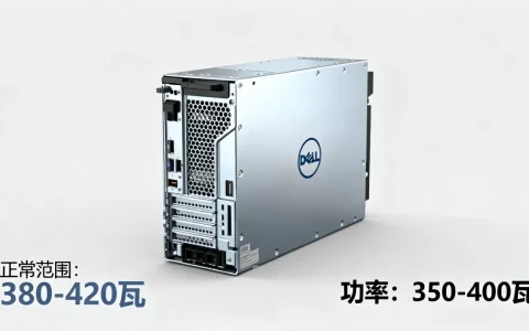 戴尔服务器e60s功率到底是多少瓦，多少瓦正常