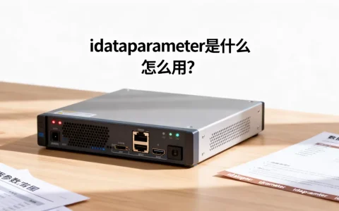 idataparameter是什么，怎么用？