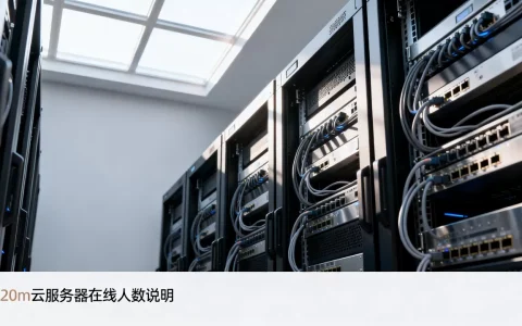 20m云服务器能在线多少人