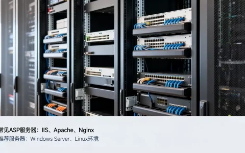 asp可以在哪些服务器上运行？asp服务器哪个好