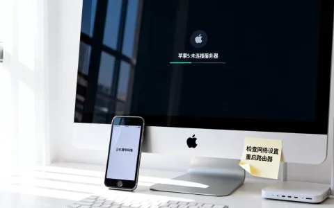 电脑显示苹果5s未连接服务器怎么办