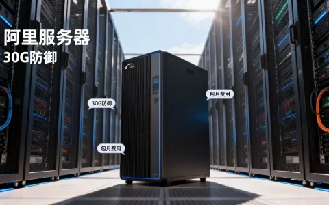 阿里服务器30G防御多少钱包月