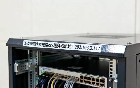 湖南衡阳南岳电信dns的服务器地址是多少