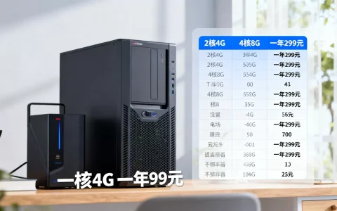 国内服务器一年多少钱，哪个云服务器最便宜