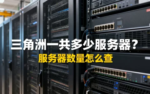 三角洲一共多少服务器？，服务器数量怎么查
