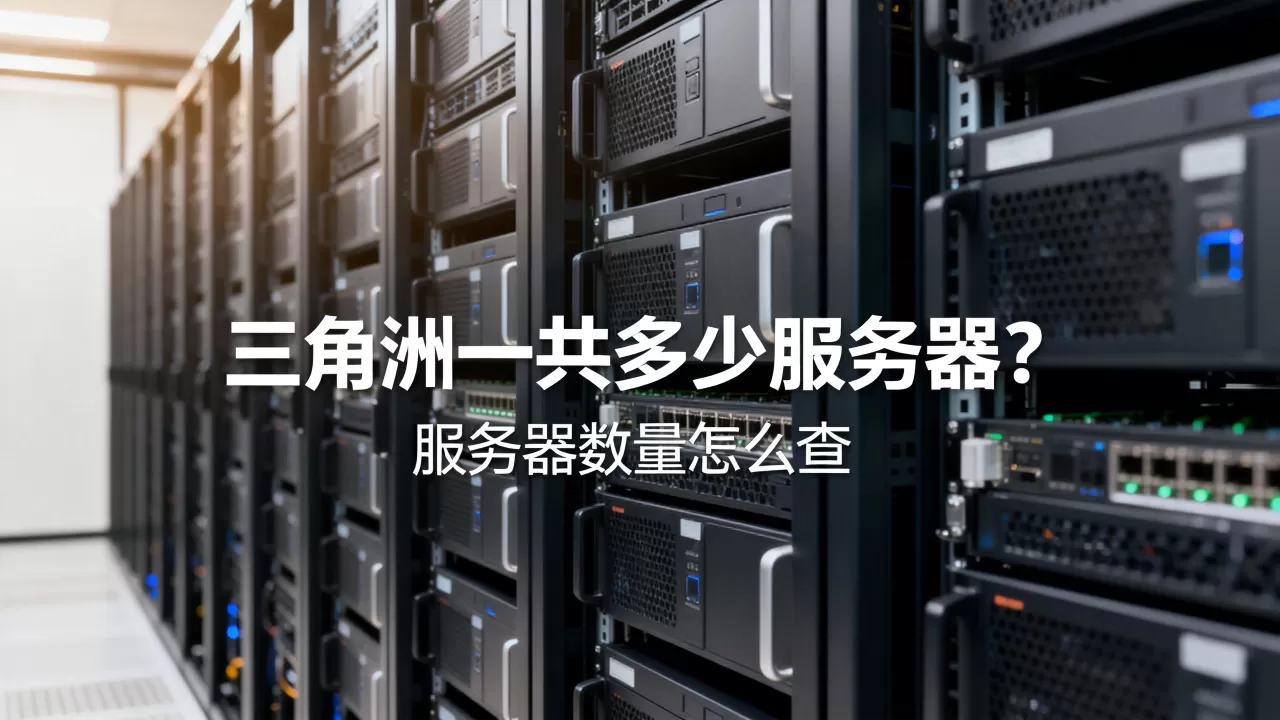 三角洲一共多少服务器?,服务器数量怎么查 三角洲一共多少服务器?,服务器数量怎么查