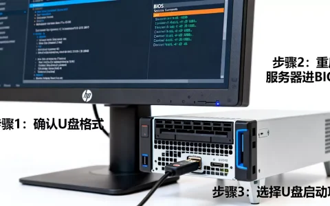 惠普服务器进bios设置u盘启动不了怎么办