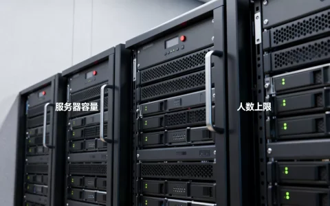 dnf一个服务器能容纳多少人？, 服务器人数上限是多少