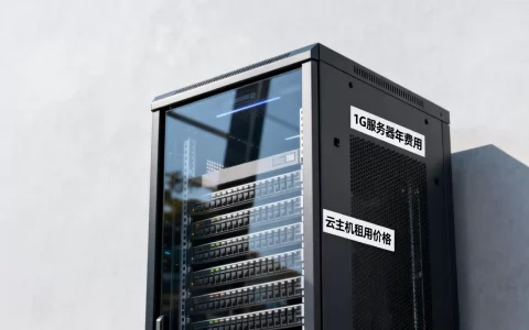 服务器1g多少钱一年？，云主机租用价格贵不贵