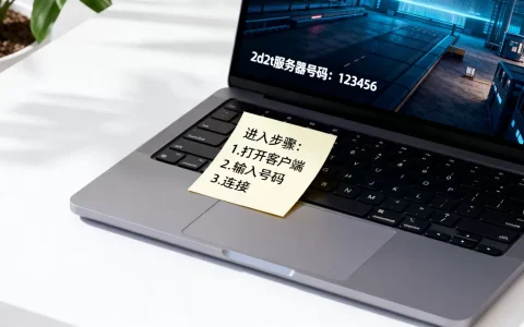 2d2t的服务器号码是多少？，怎么进服务器？
