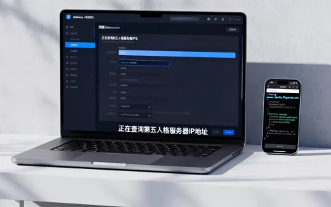 第五人格服务器IP地址是多少呢？，怎么查