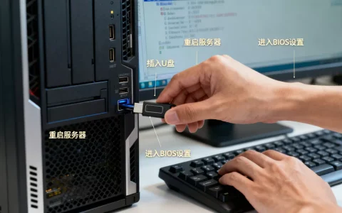新服务器u盘启动不了怎么办,服务器u盘启动怎么设置