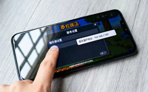 泰拉瑞亚手机版怎么查服务器ip，ip地址在哪看？