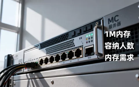 MC服务器1M能容纳多少人，内存多大才够用？