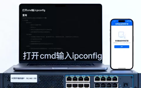 中顶软件服务器IP一般是多少，怎么查询？